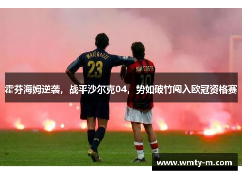霍芬海姆逆袭，战平沙尔克04，势如破竹闯入欧冠资格赛