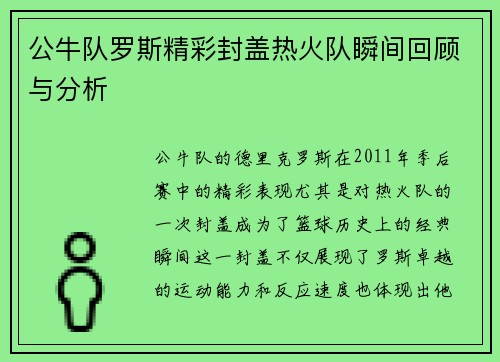 公牛队罗斯精彩封盖热火队瞬间回顾与分析